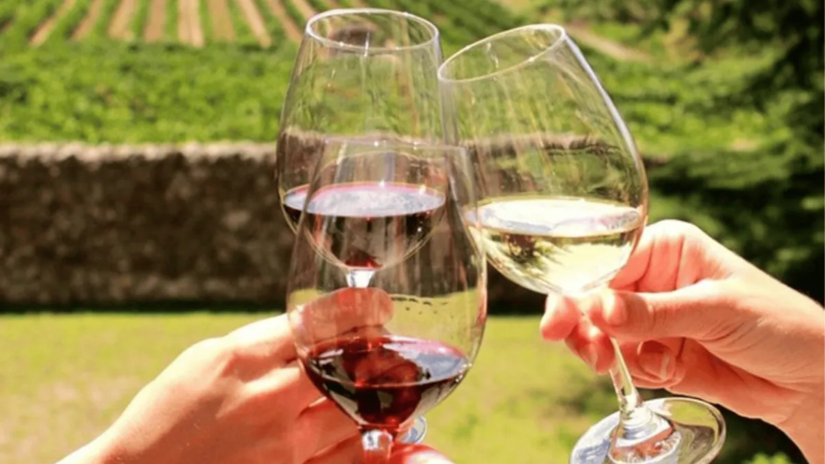 Wine tasting flight with cheese pairing at a Stellenbosch estate on a half-day wine tour from Cape Town