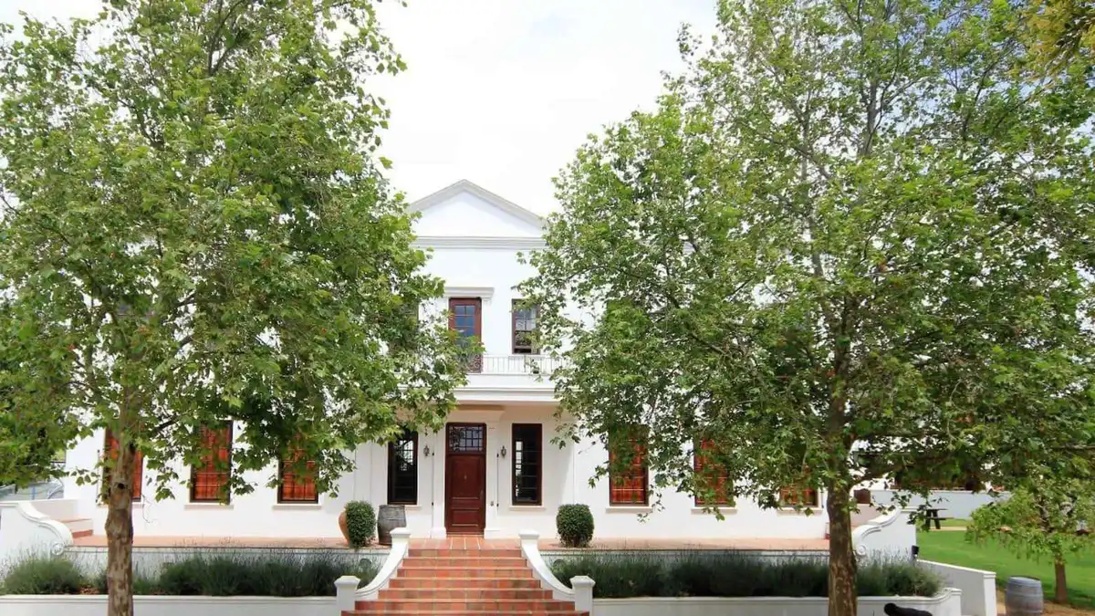 Vineyard rows below the Stellenbosch mountains on a four-estate full-day wine tour from Cape Town