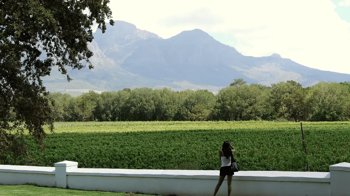 Small group toasting at a winelands estate on a full-day wine tasting tour from Cape Town