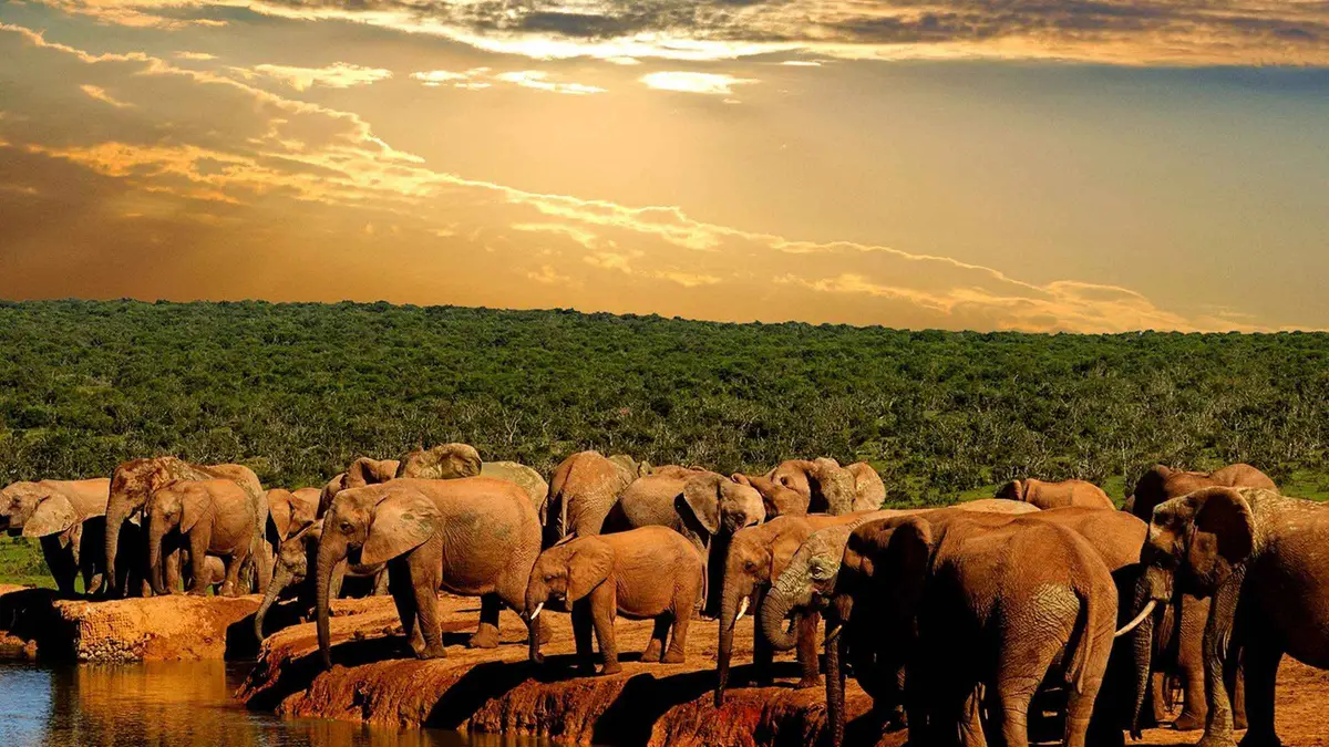 Tour van on a coastal Garden Route viewpoint during a 5-day Addo safari trip from Cape Town